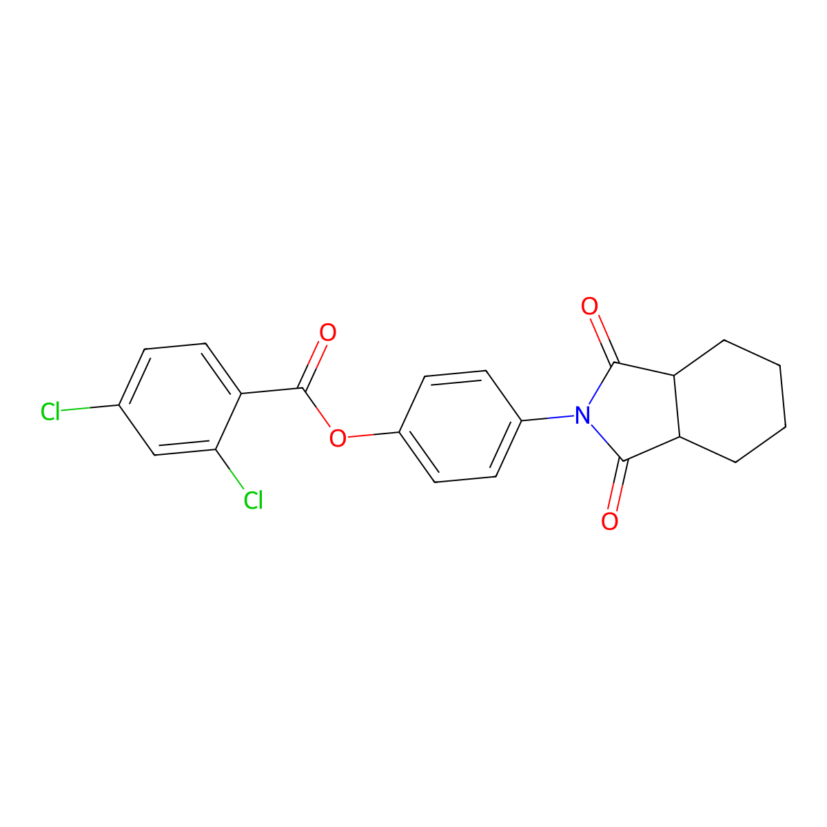 4-(1,3-dioxooctahydro-2H-isoindol-2-yl)phenyl 2,4-dichlorobenzoate molecular structure, CAS 348123-41-1
