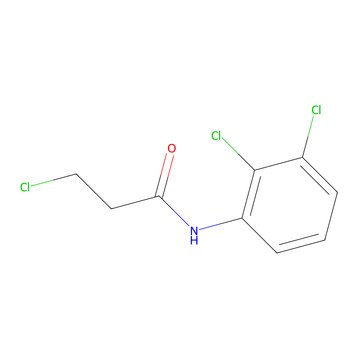 3-chloro-N-(2,3-dichlorophenyl)propanamide molecular structure, CAS 349097-69-4