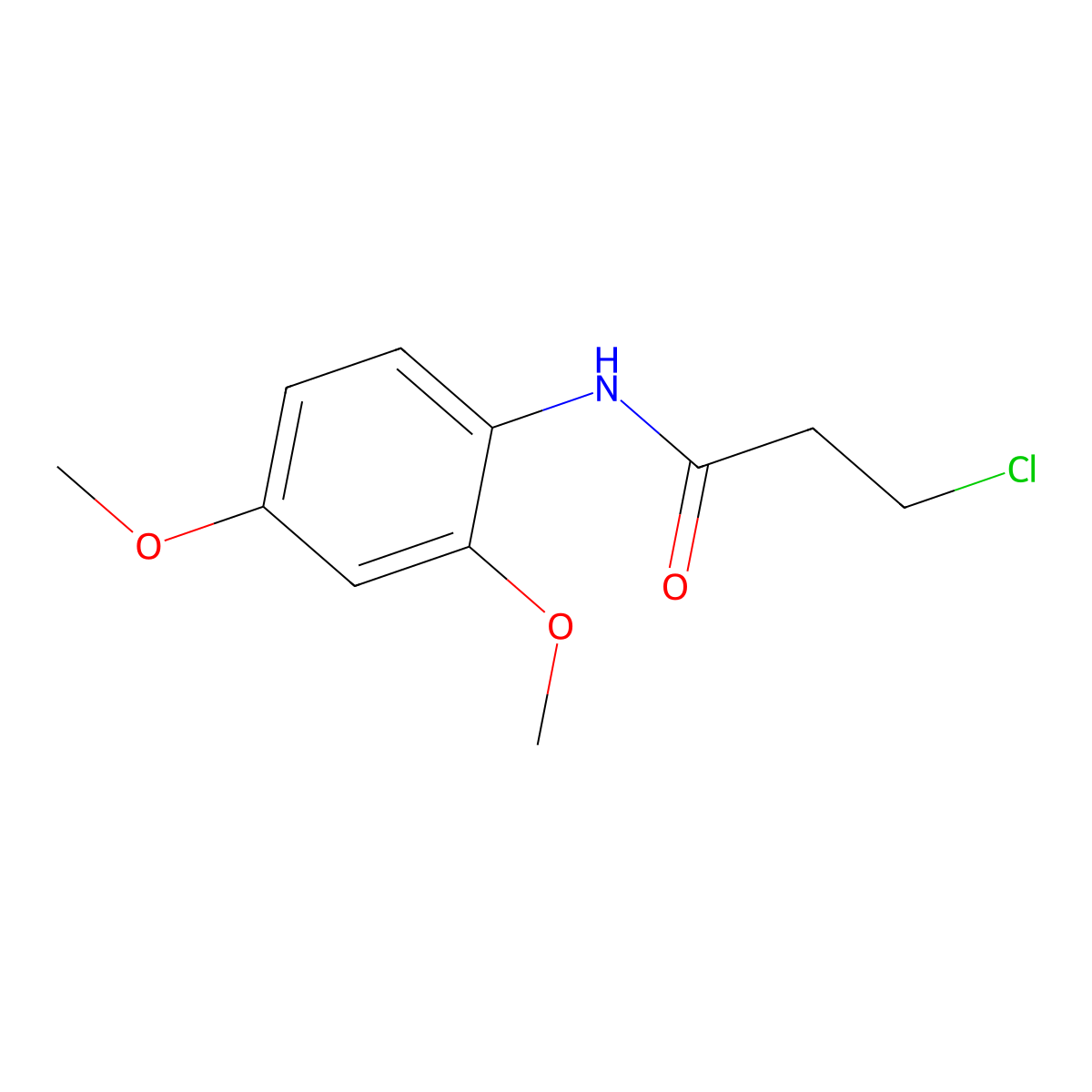 3-chloro-N-(2,4-dimethoxyphenyl)propanamide molecular structure, CAS 349097-71-8