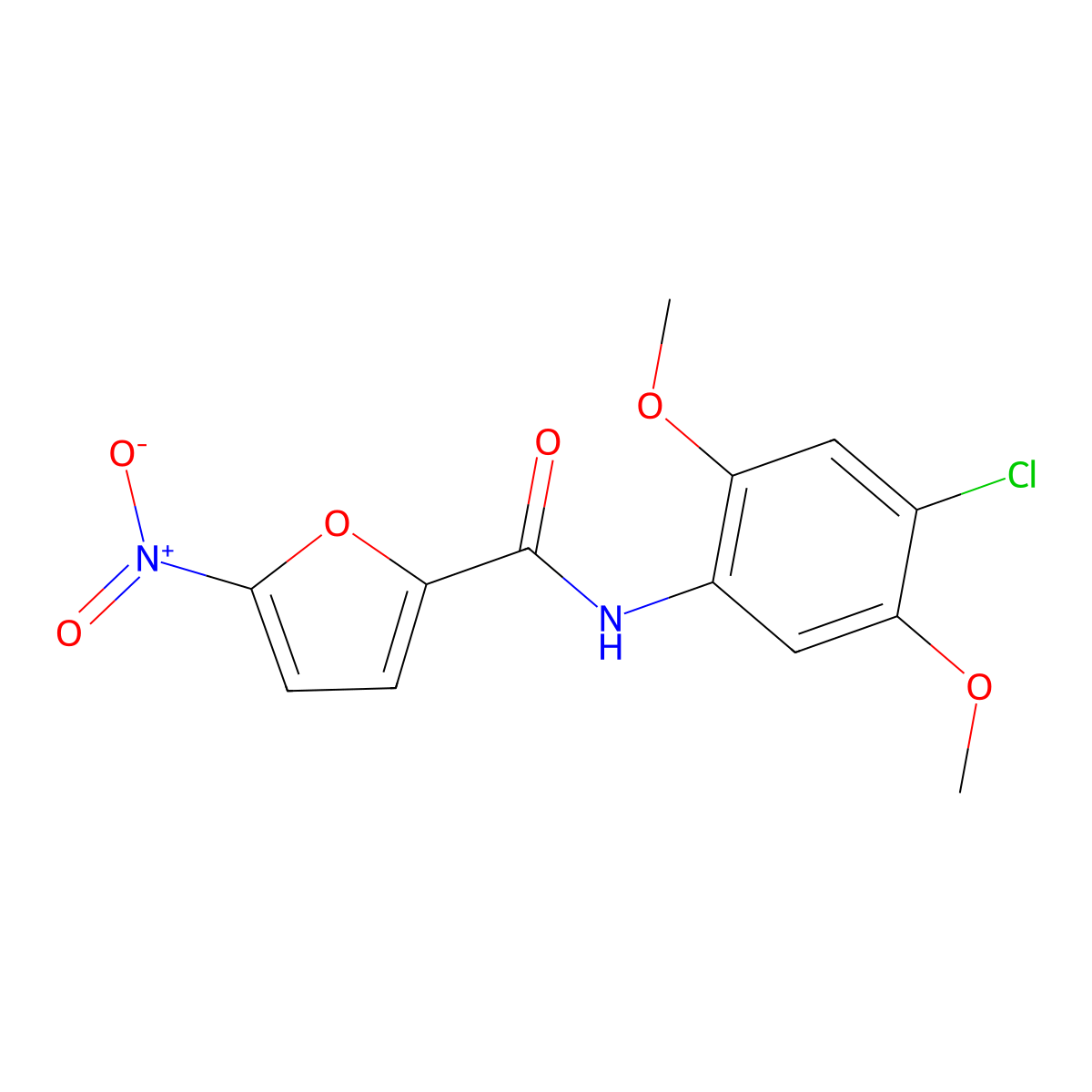 N-(4-chloro-2,5-dimethoxyphenyl)-5-nitrofuran-2-carboxamide molecular structure, CAS 349396-81-2