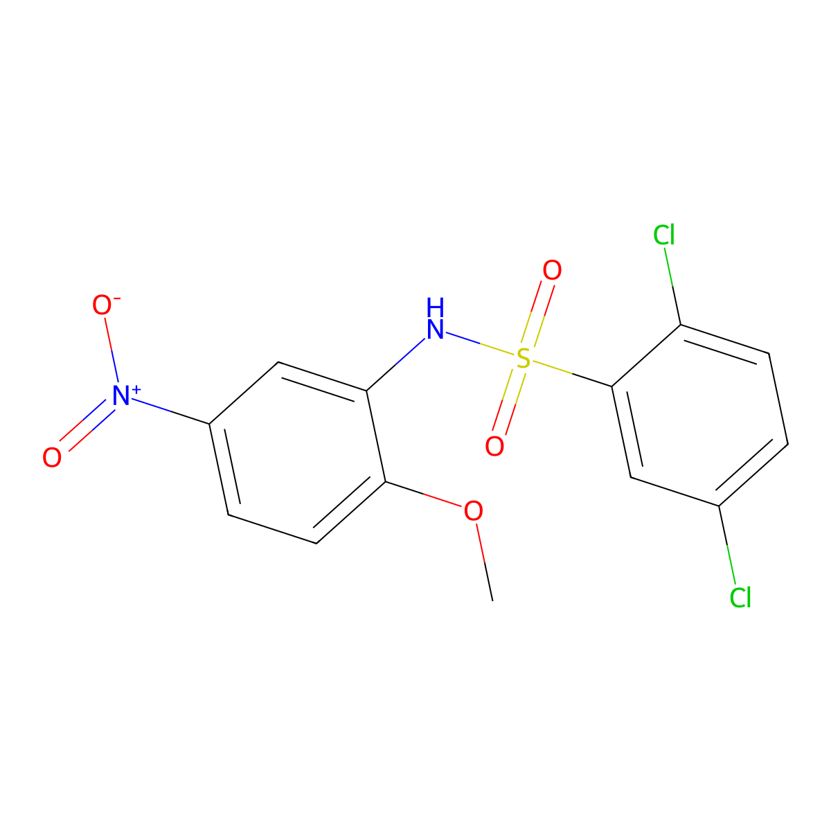 2,5-dichloro-N-(2-methoxy-5-nitrophenyl)benzenesulfonamide molecular structure, CAS 349398-23-8