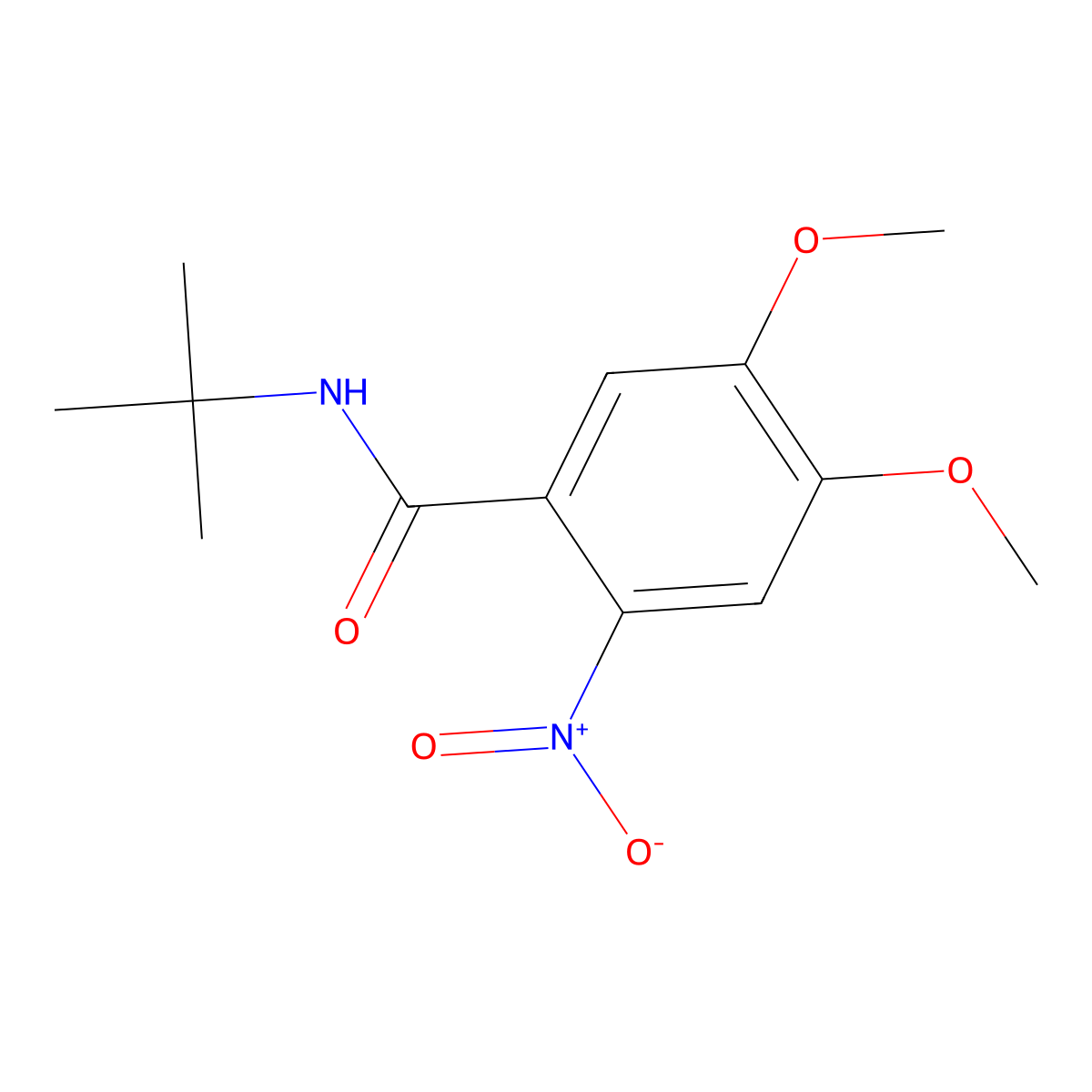 N-tert-butyl-4,5-dimethoxy-2-nitrobenzamide molecular structure, CAS 349411-67-2