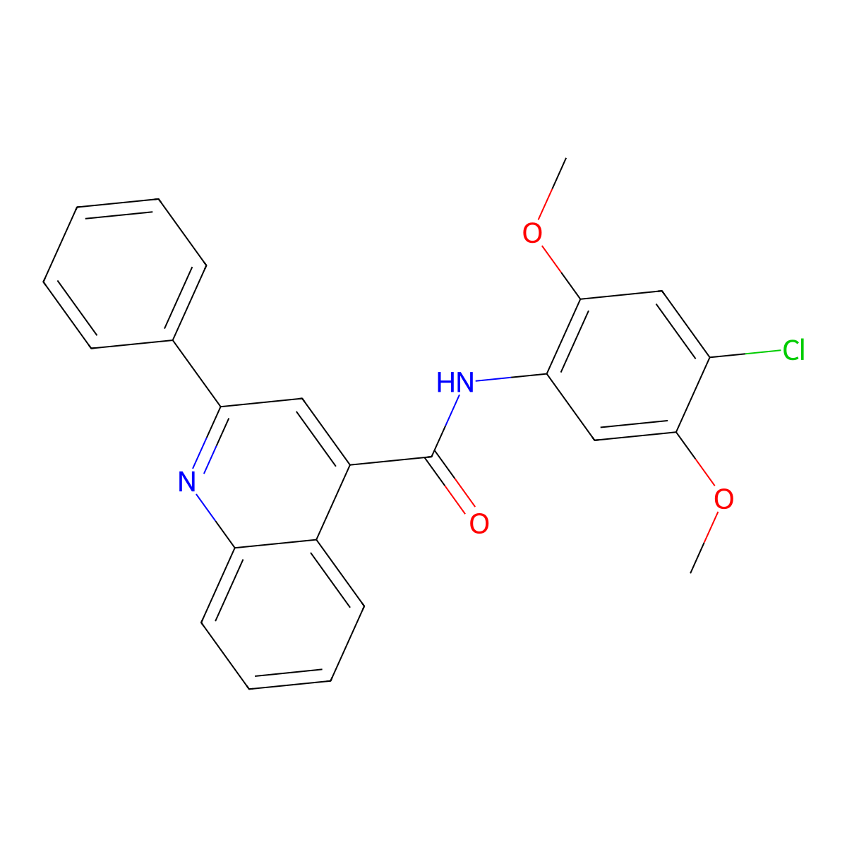 N-(4-chloro-2,5-dimethoxyphenyl)-2-phenylquinoline-4-carboxamide molecular structure, CAS 349414-73-9
