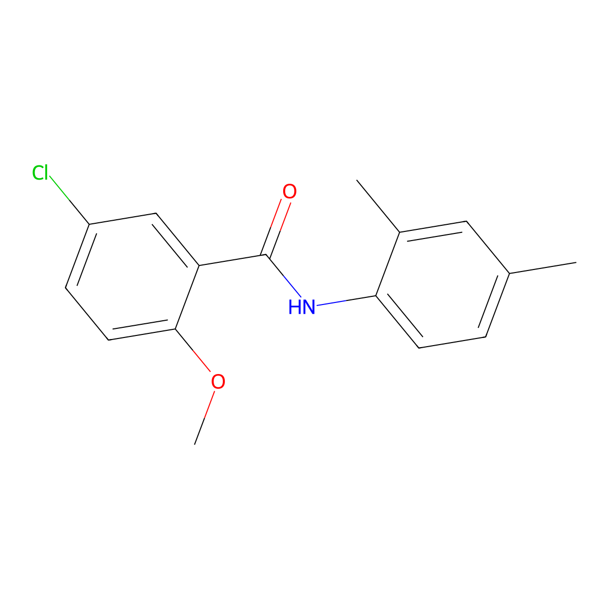 5-chloro-N-(2,4-dimethylphenyl)-2-methoxybenzamide molecular structure, CAS 349434-61-3