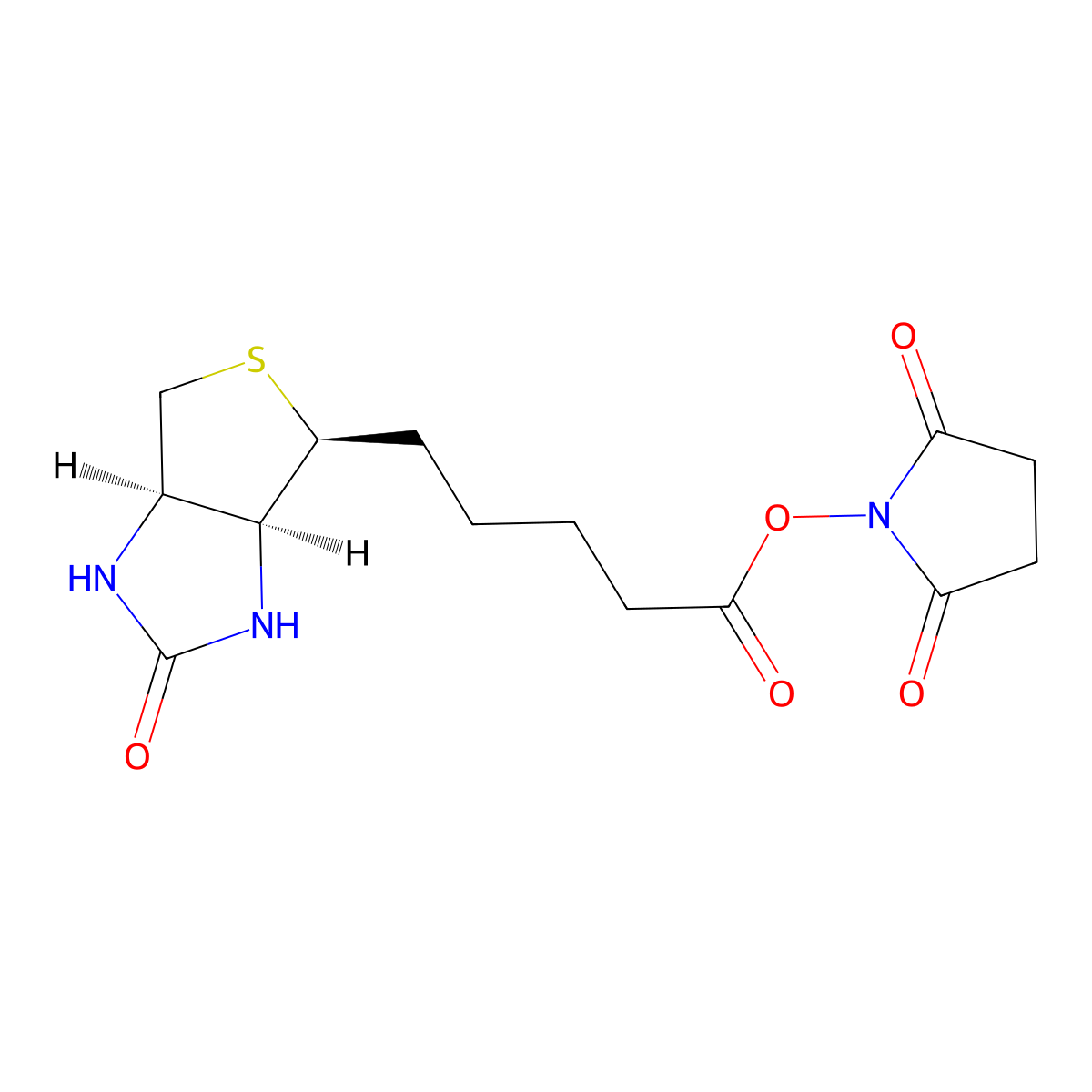 Biotin N-hydroxysuccinimide ester molecular structure, CAS 35013-72-0