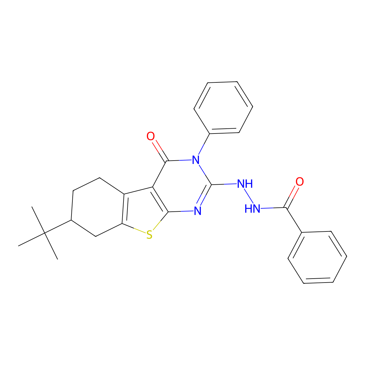 N'-(7-tert-butyl-4-oxo-3-phenyl-5,6,7,8-tetrahydro-[1]benzothiolo[2,3-d]pyrimidin-2-yl)benzohydrazide molecular structure, CAS 351338-56-2