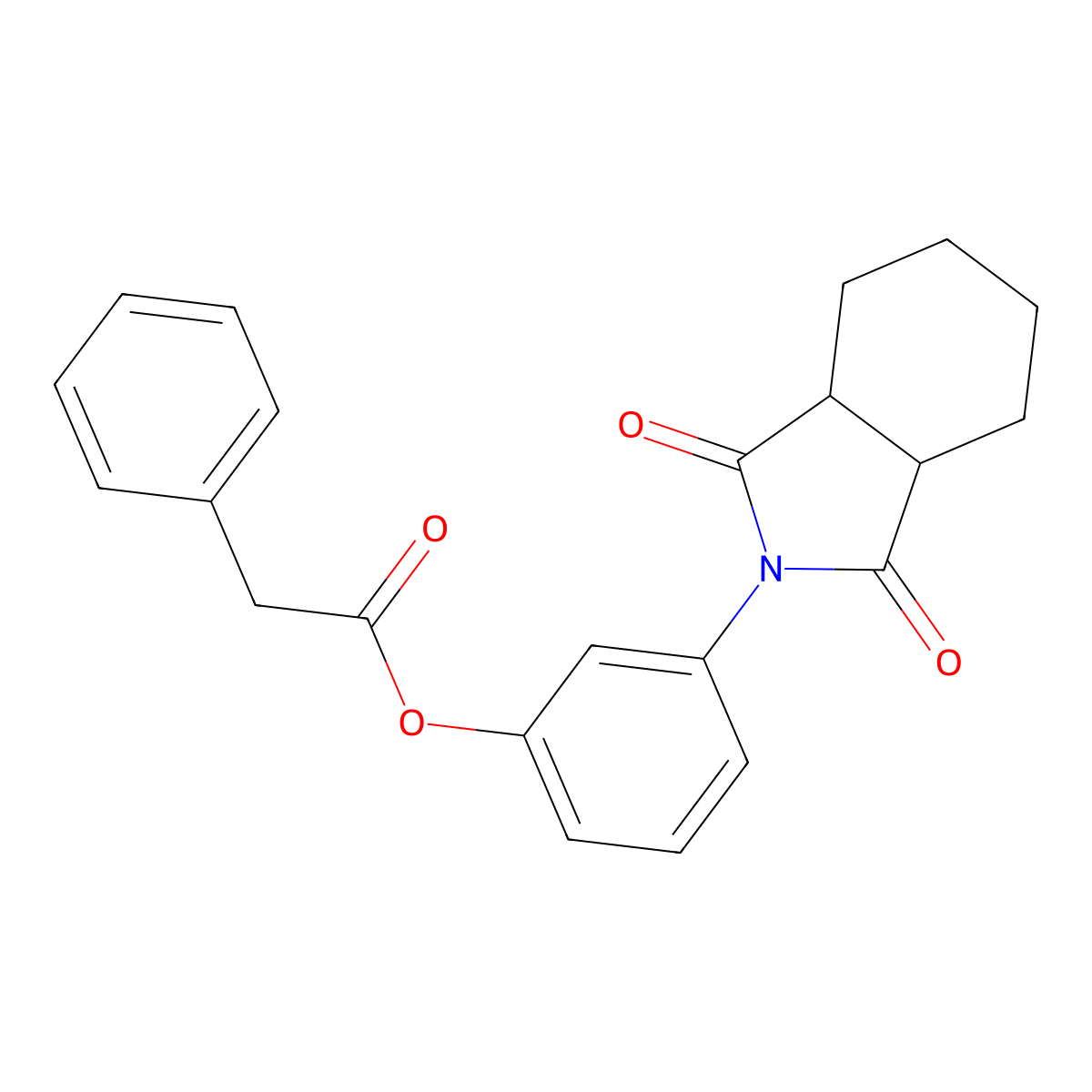 3-(1,3-dioxooctahydro-2H-isoindol-2-yl)phenyl phenylacetate molecular structure, CAS 351497-87-5