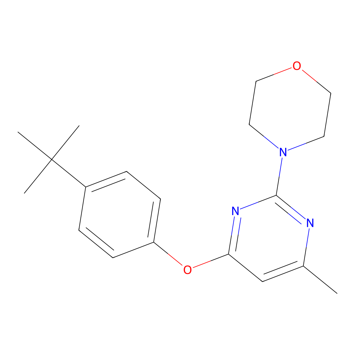 4-[4-(4-Tert-butylphenoxy)-6-methylpyrimidin-2-yl]morpholine molecular structure, CAS 352224-86-3
