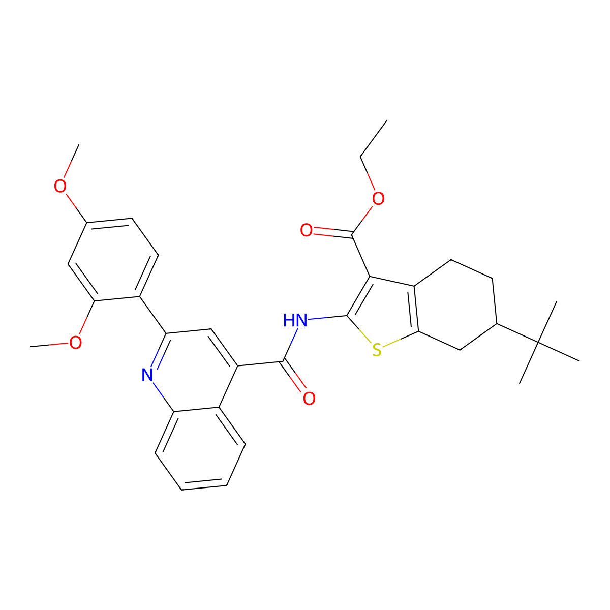 Ethyl 6-tert-butyl-2-({[2-(2,4-dimethoxyphenyl)quinolin-4-yl]carbonyl}amino)-4,5,6,7-tetrahydro-1-benzothiophene-3-carboxylate molecular structure, CAS 352688-92-7