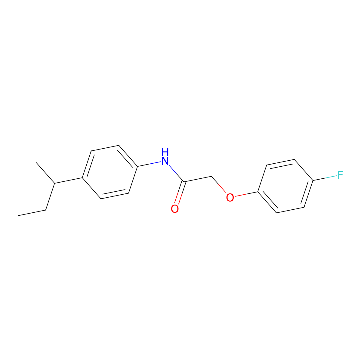 N-(4-sec-butylphenyl)-2-(4-fluorophenoxy)acetamide molecular structure, CAS 352705-34-1