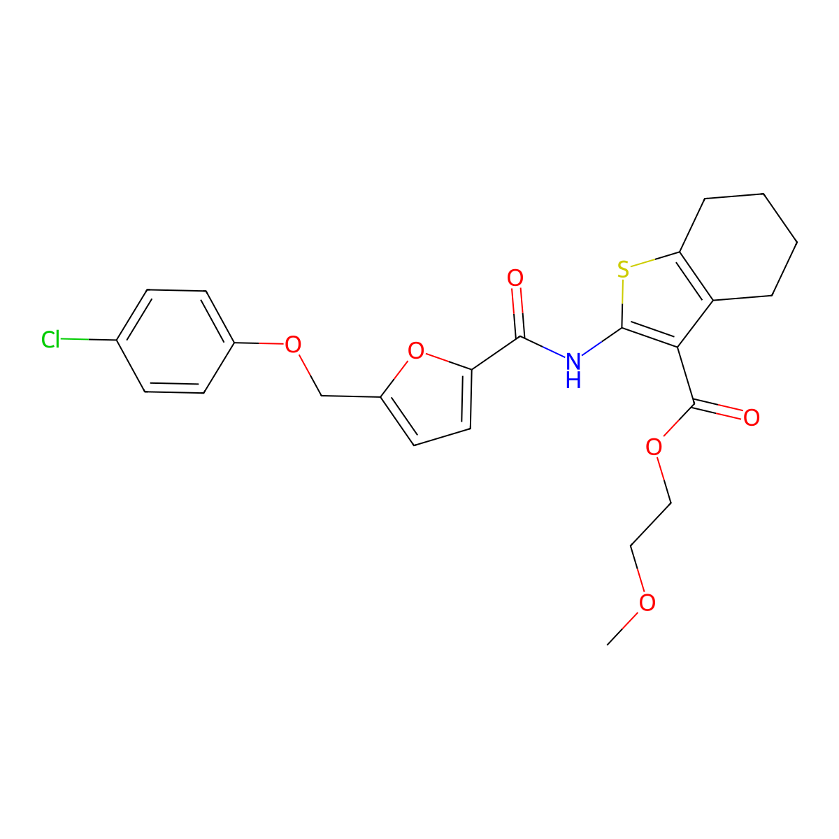 2-Methoxyethyl 2-({5-[(4-chlorophenoxy)methyl]-2-furoyl}amino)-4,5,6,7-tetrahydro-1-benzothiophene-3-carboxylate molecular structure, CAS 353768-00-0