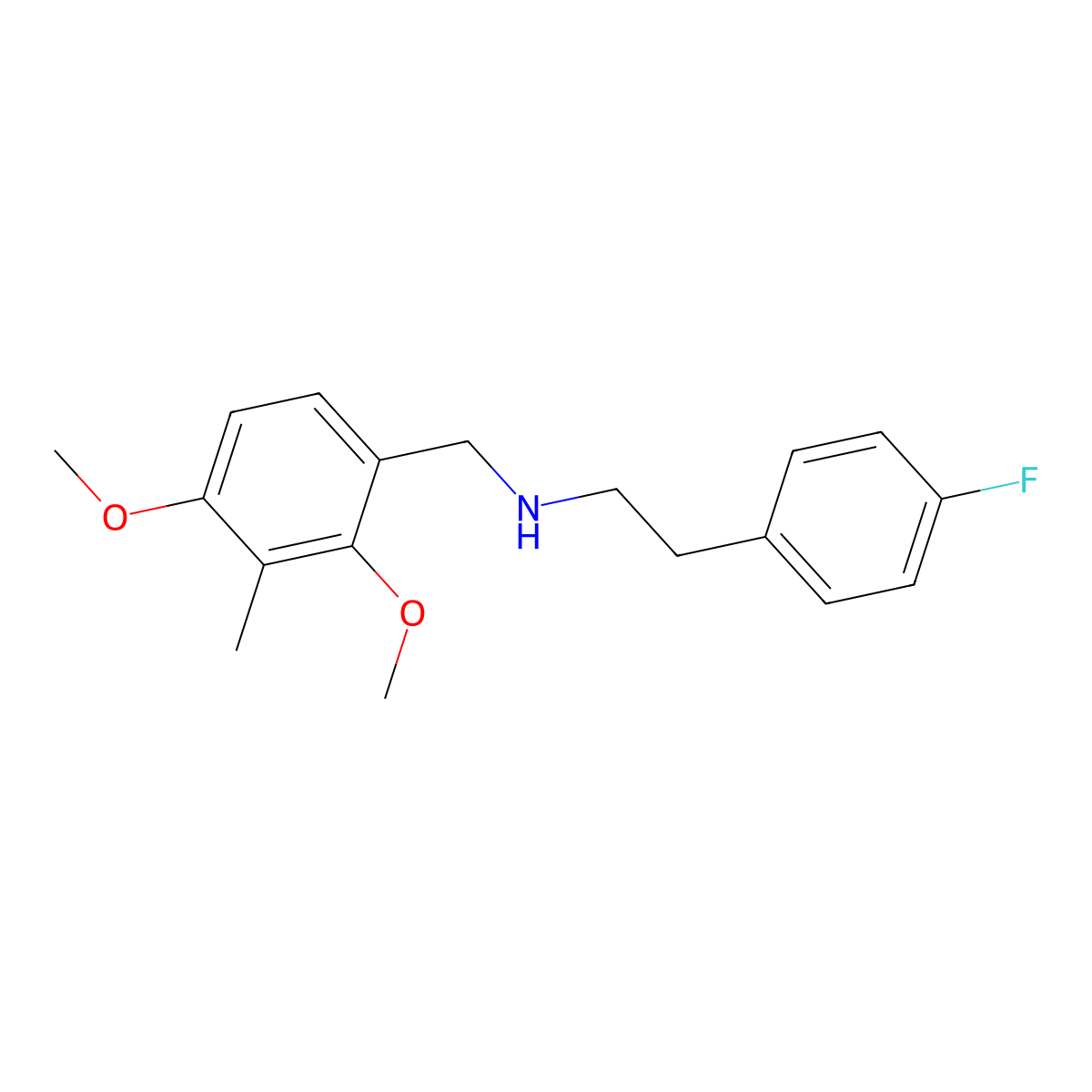 N-(2,4-dimethoxy-3-methylbenzyl)-2-(4-fluorophenyl)ethanamine molecular structure, CAS 353779-05-2