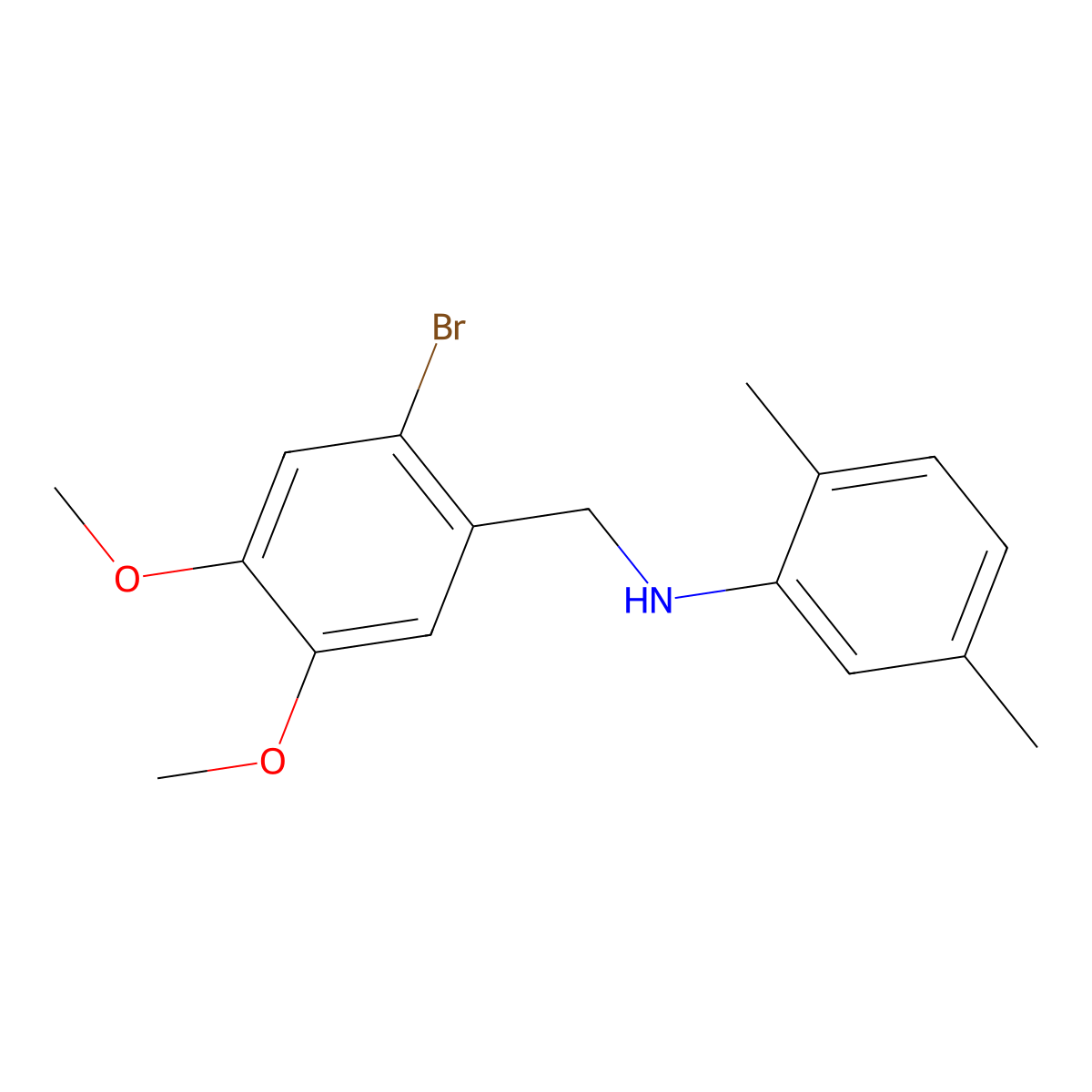 N-(2-bromo-4,5-dimethoxybenzyl)-2,5-dimethylaniline molecular structure, CAS 353779-51-8
