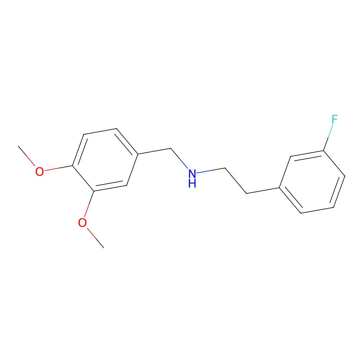 N-(3,4-dimethoxybenzyl)-2-(3-fluorophenyl)ethanamine molecular structure, CAS 353779-58-5