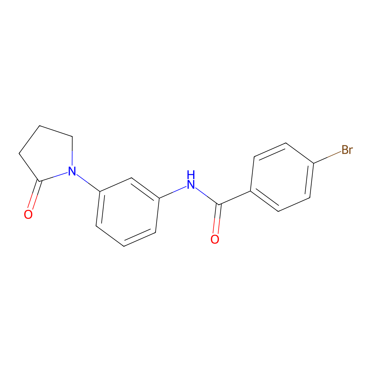 4-bromo-N-[3-(2-oxopyrrolidin-1-yl)phenyl]benzamide molecular structure, CAS 354540-88-8