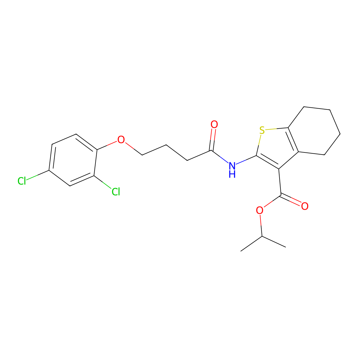 Propan-2-yl 2-[4-(2,4-dichlorophenoxy)butanoylamino]-4,5,6,7-tetrahydro-1-benzothiophene-3-carboxylate molecular structure, CAS 354541-97-2