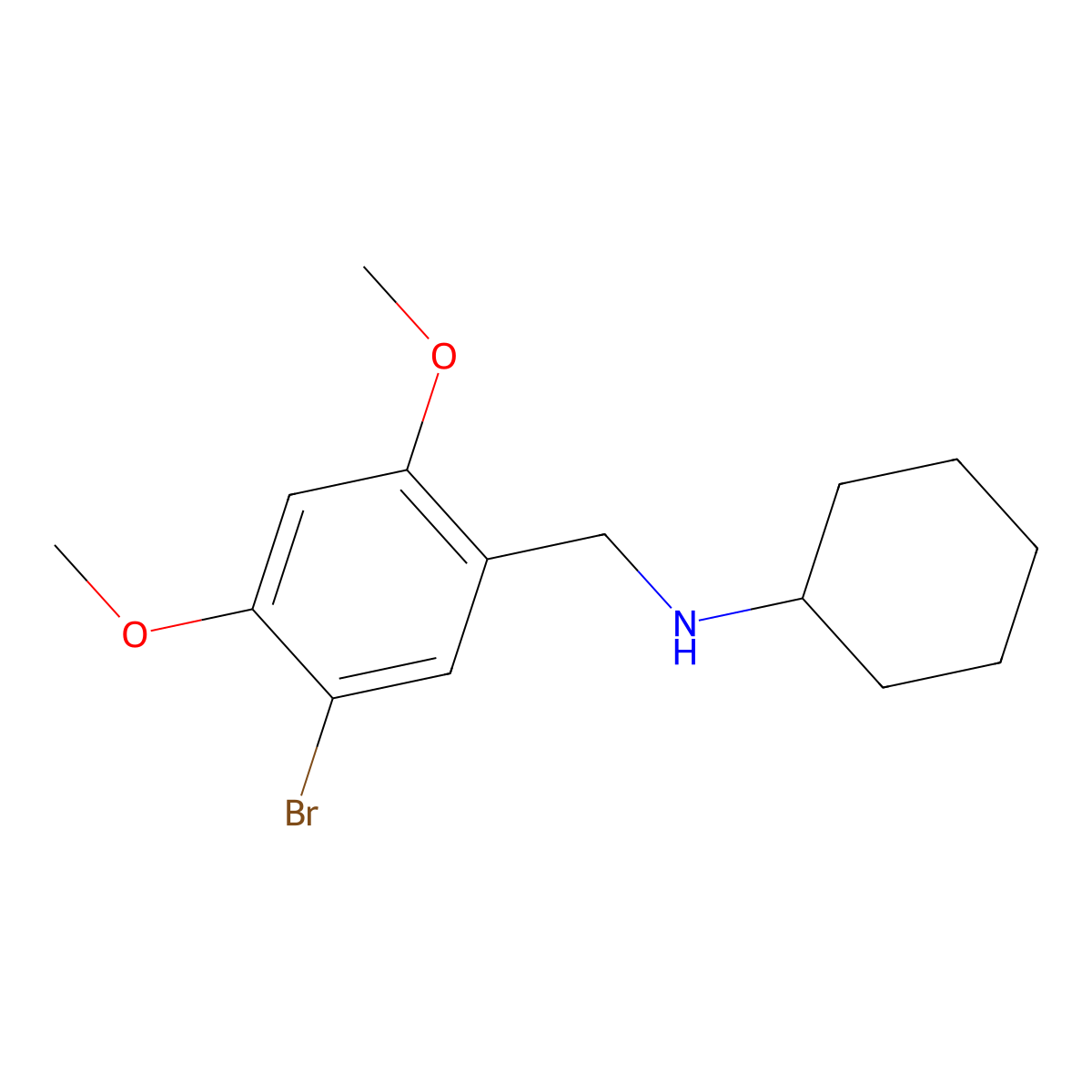 N-(5-bromo-2,4-dimethoxybenzyl)cyclohexanamine molecular structure, CAS 355381-79-2