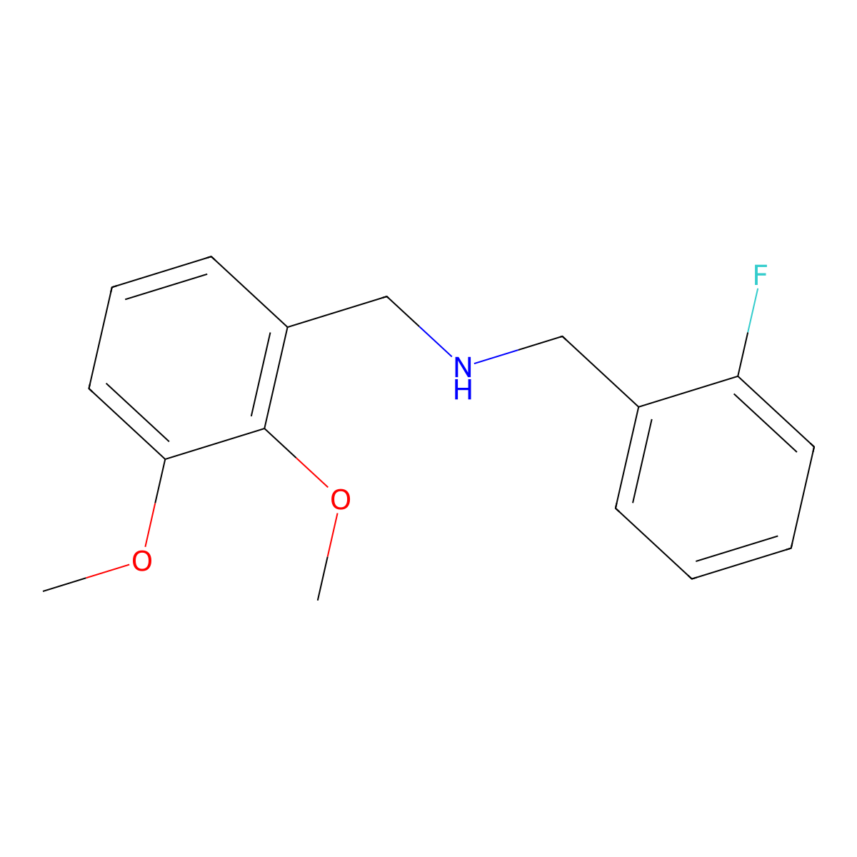 (2,3-Dimethoxybenzyl)(2-fluorobenzyl)amine molecular structure, CAS 355382-01-3