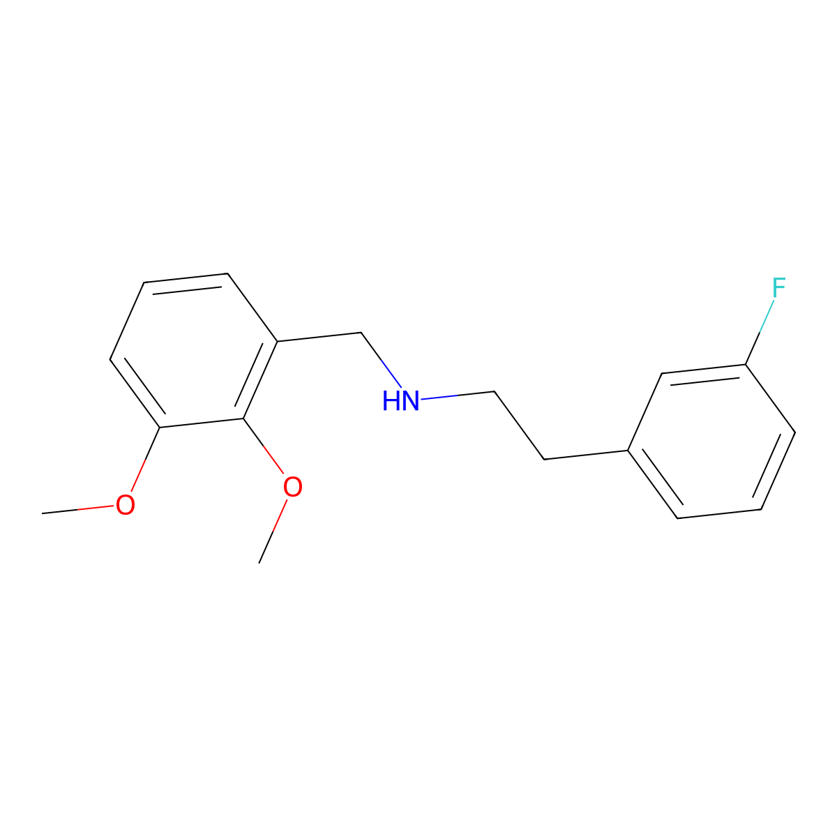 N-(2,3-dimethoxybenzyl)-2-(3-fluorophenyl)ethanamine molecular structure, CAS 355382-91-1