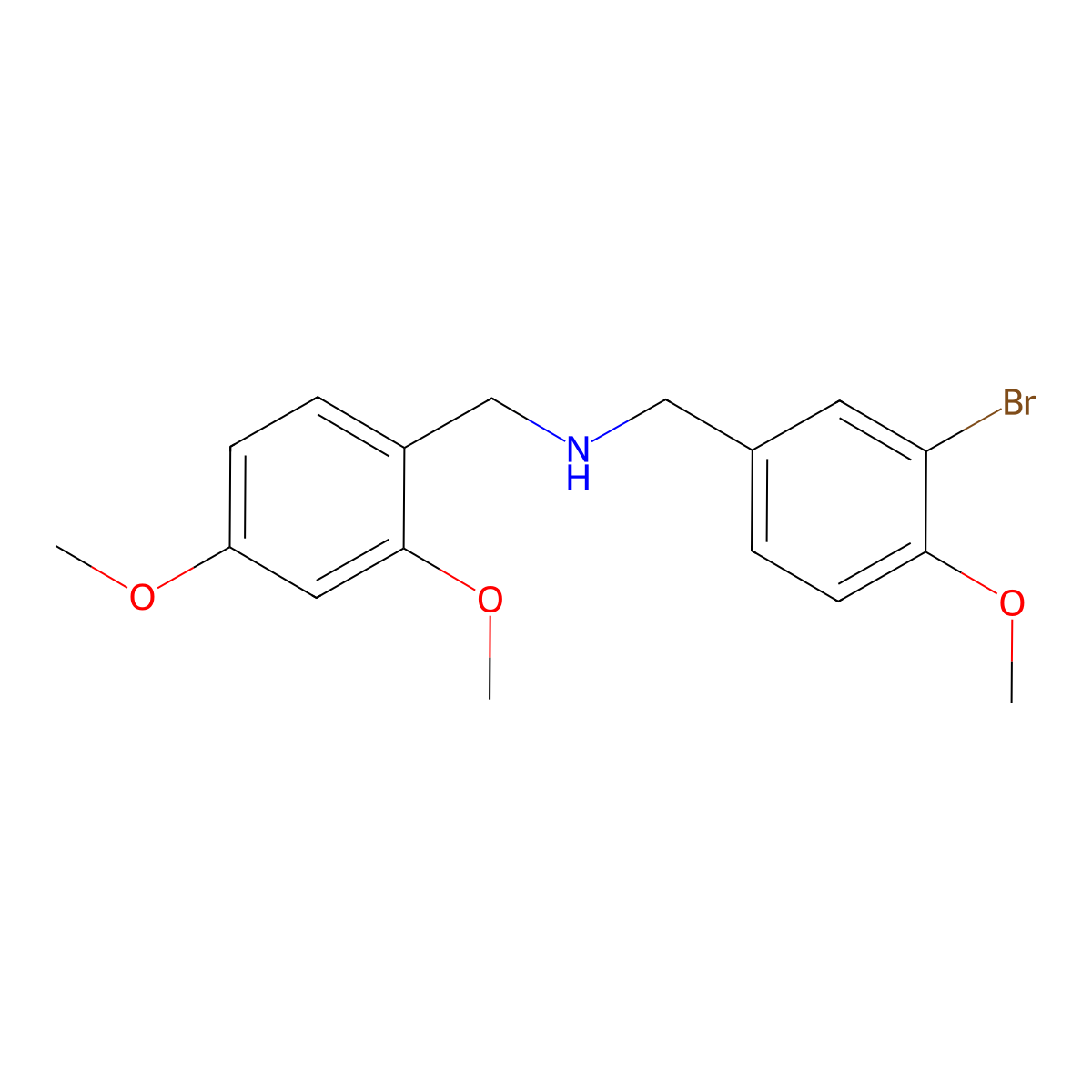 1-(3-bromo-4-methoxyphenyl)-N-[(2,4-dimethoxyphenyl)methyl]methanamine molecular structure, CAS 355383-15-2