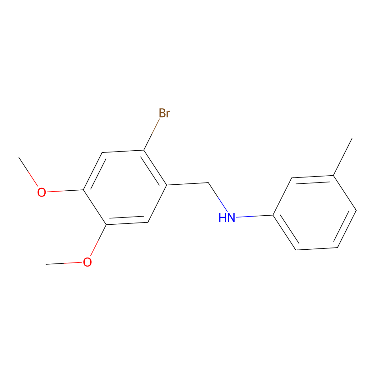 N-(2-bromo-4,5-dimethoxybenzyl)-3-methylaniline molecular structure, CAS 355395-67-4