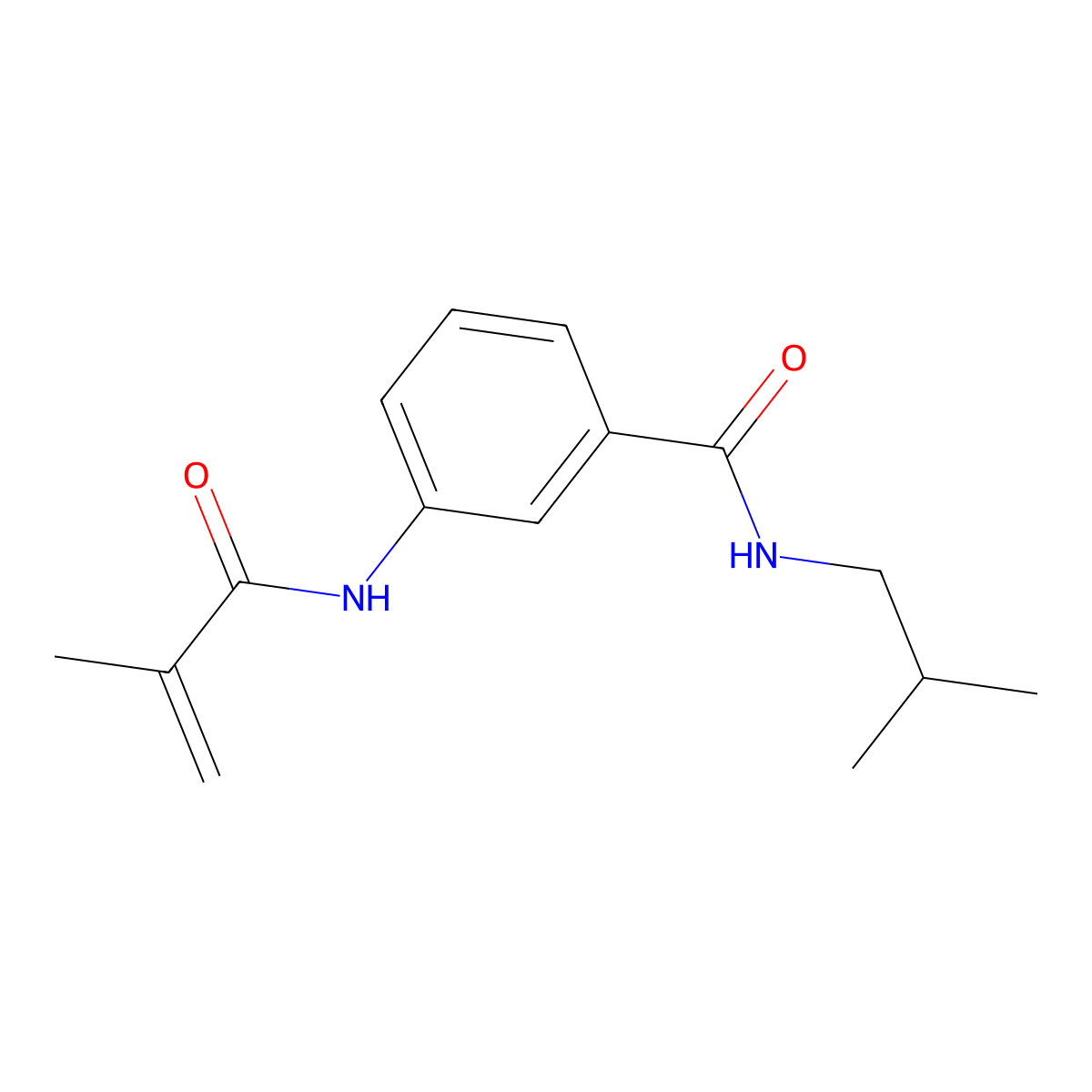 3-[(2-methylacryloyl)amino]-N-(2-methylpropyl)benzamide molecular structure, CAS 355403-25-7