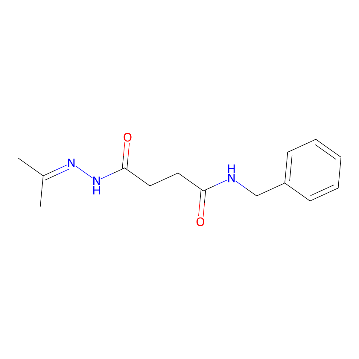 N-benzyl-4-[2-(1-methylethylidene)hydrazino]-4-oxobutanamide molecular structure, CAS 355437-26-2