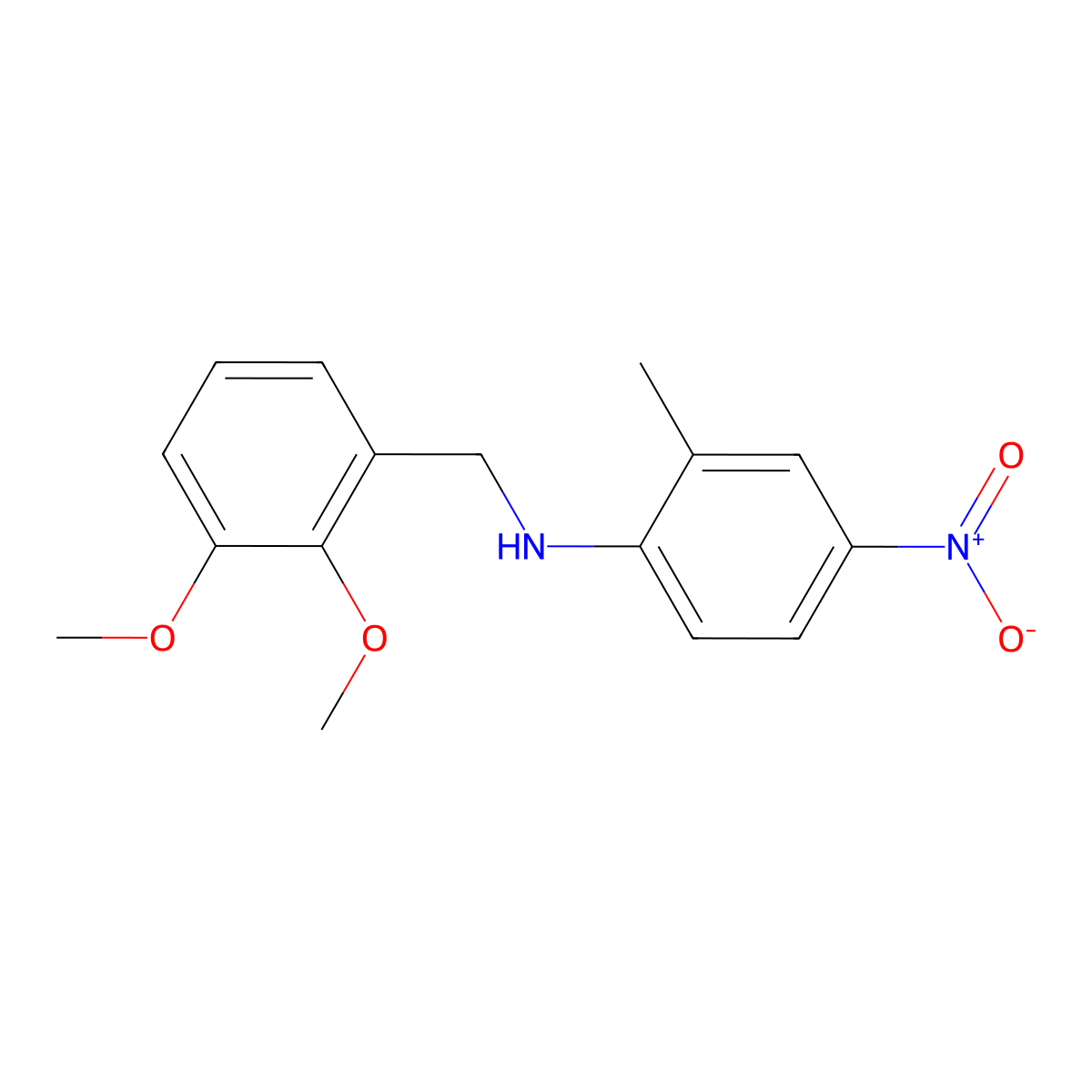 N-(2,3-dimethoxybenzyl)-2-methyl-4-nitroaniline molecular structure, CAS 355816-42-1