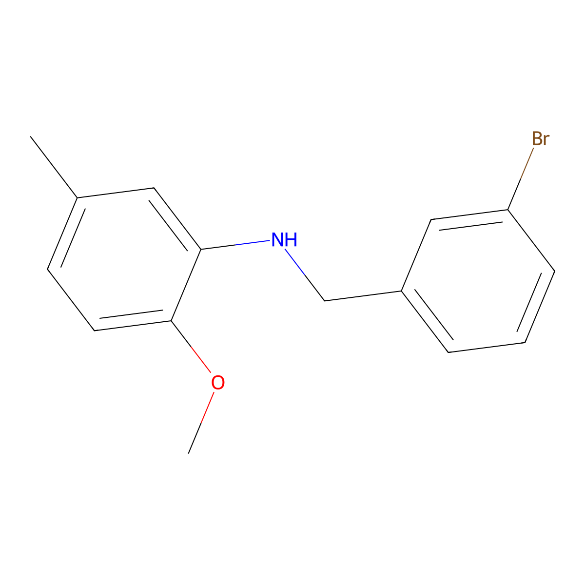 N-[(3-bromophenyl)methyl]-2-methoxy-5-methylaniline molecular structure, CAS 355816-46-5