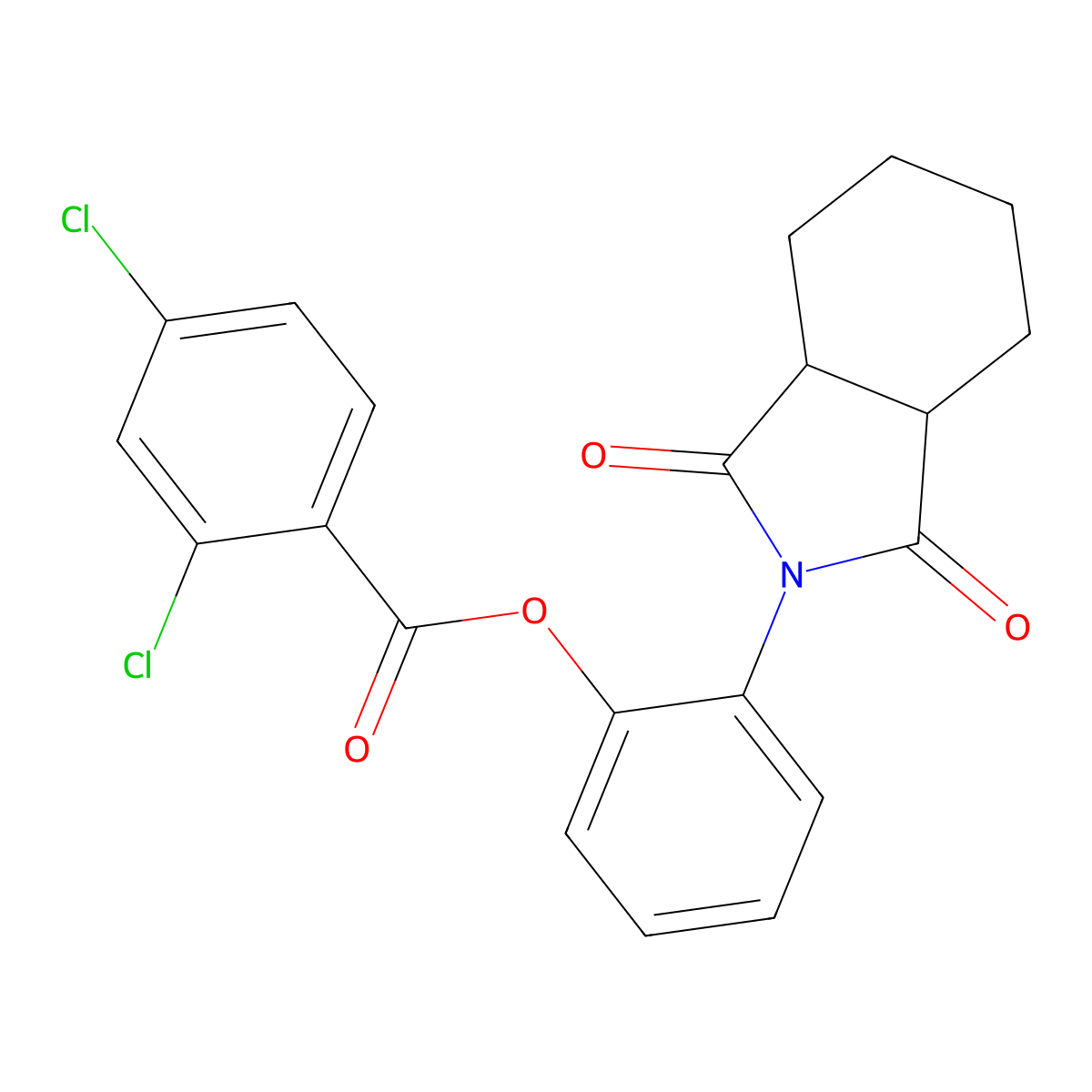 2-(1,3-dioxooctahydro-2H-isoindol-2-yl)phenyl 2,4-dichlorobenzoate molecular structure, CAS 355816-75-0