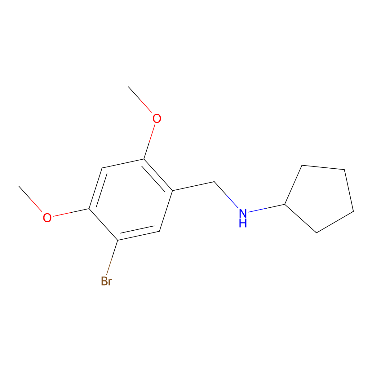 N-[(5-bromo-2,4-dimethoxyphenyl)methyl]cyclopentanamine molecular structure, CAS 355816-76-1