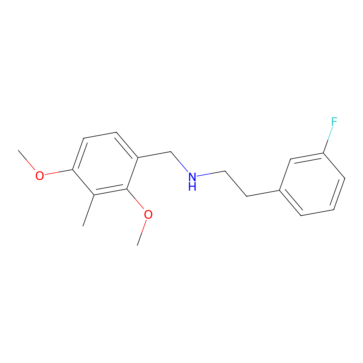 N-(2,4-dimethoxy-3-methylbenzyl)-2-(3-fluorophenyl)ethanamine molecular structure, CAS 355817-18-4