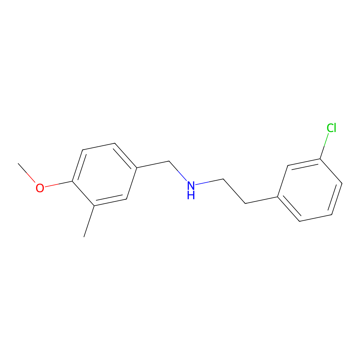 2-(3-chlorophenyl)-N-(4-methoxy-3-methylbenzyl)ethanamine molecular structure, CAS 355817-26-4