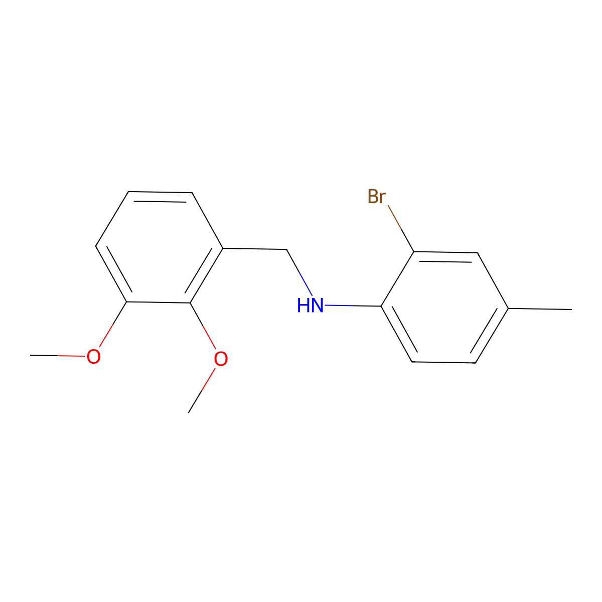 2-bromo-N-(2,3-dimethoxybenzyl)-4-methylaniline molecular structure, CAS 355822-10-5