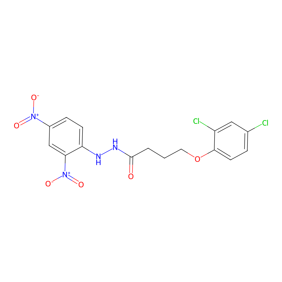 4-(2,4-dichlorophenoxy)-N'-(2,4-dinitrophenyl)butanehydrazide molecular structure, CAS 355829-31-1