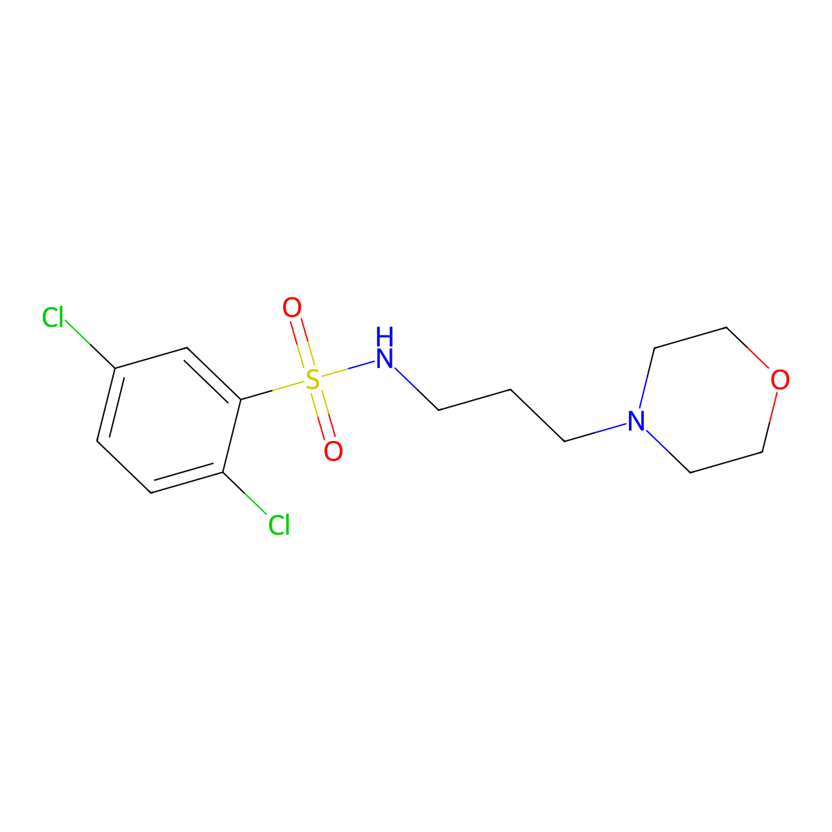 2,5-dichloro-N-(3-morpholin-4-ylpropyl)benzenesulfonamide molecular structure, CAS 355830-13-6