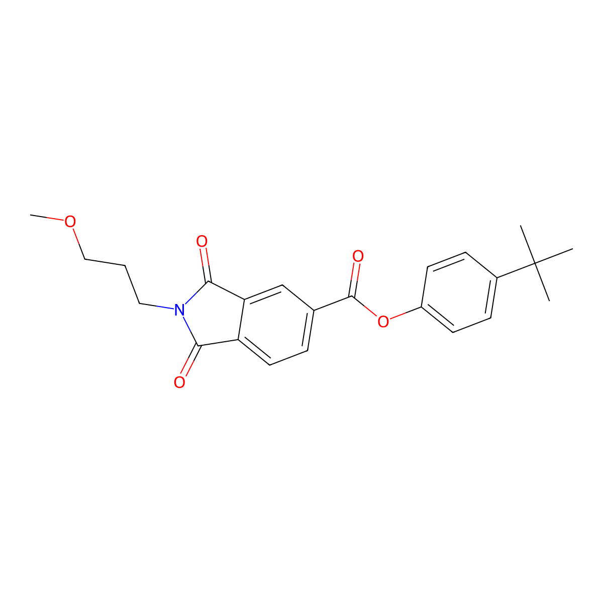 4-tert-butylphenyl 2-(3-methoxypropyl)-1,3-dioxo-2,3-dihydro-1H-isoindole-5-carboxylate molecular structure, CAS 356091-62-8
