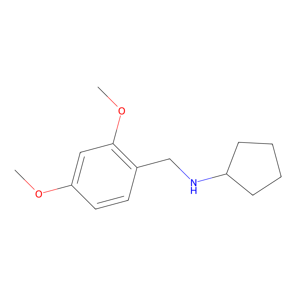 Cyclopentyl-(2,4-dimethoxy-benzyl)-amine molecular structure, CAS 356092-74-5