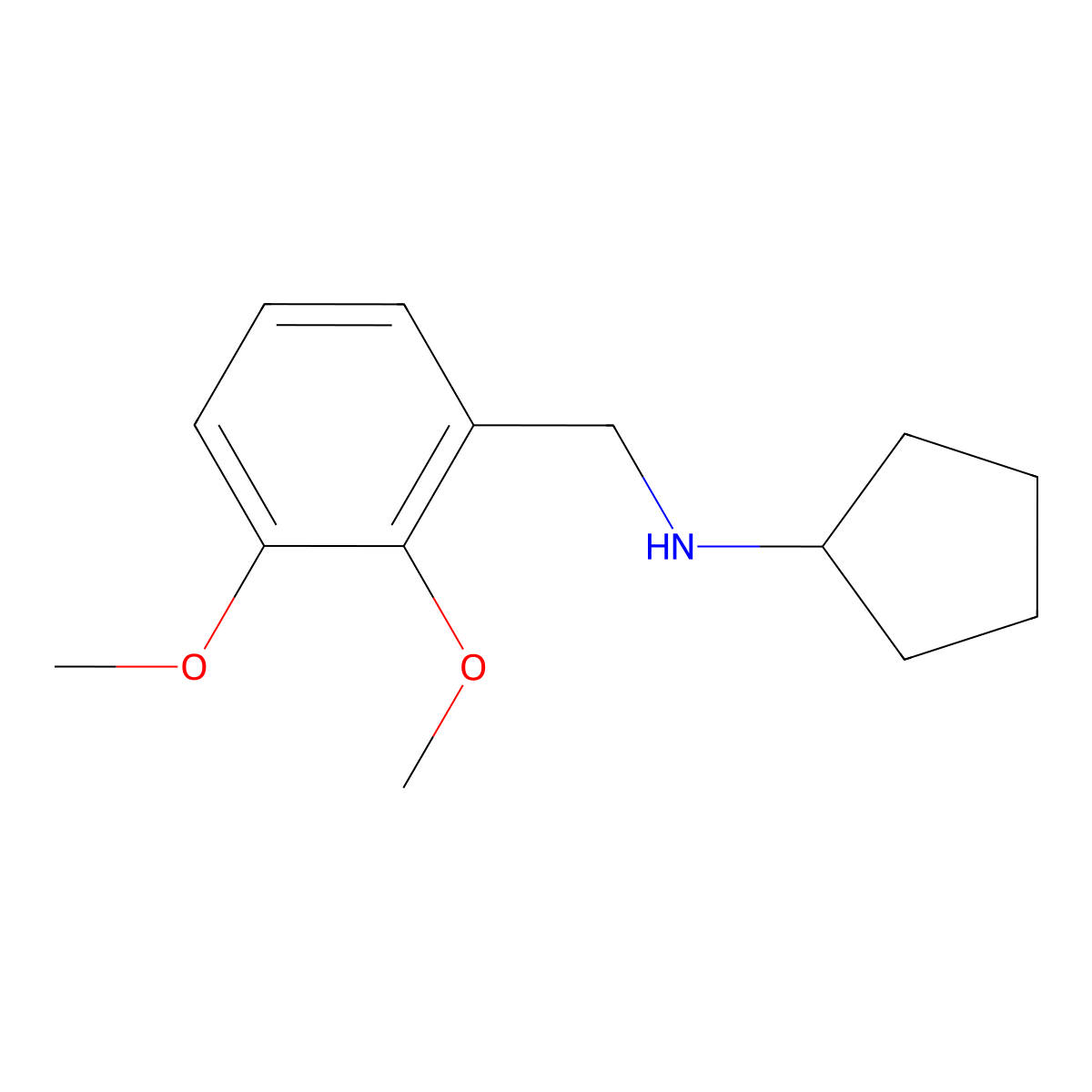 N-(2,3-dimethoxybenzyl)cyclopentanamine molecular structure, CAS 356094-55-8