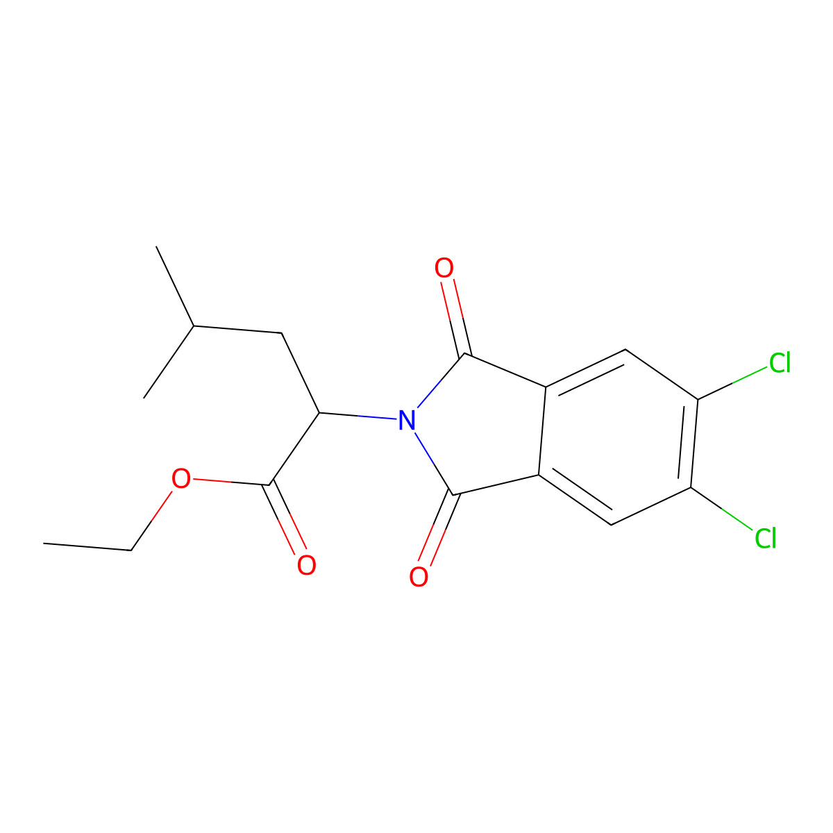 ethyl 2-(5,6-dichloro-1,3-dioxo-1,3-dihydro-2H-isoindol-2-yl)-4-methylpentanoate molecular structure, CAS 356097-32-0