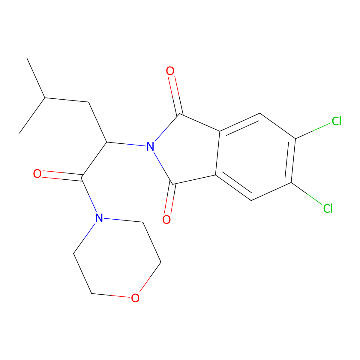 5,6-Dichloro-2-(4-methyl-1-morpholin-4-yl-1-oxopentan-2-yl)isoindole-1,3-dione molecular structure, CAS 356097-53-5
