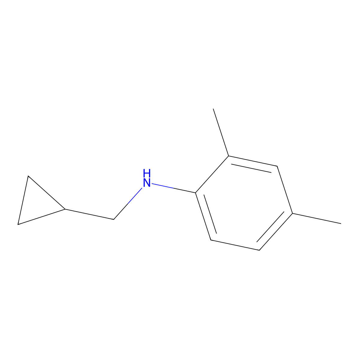 N-(cyclopropylmethyl)-2,4-dimethylaniline molecular structure, CAS 356539-40-7