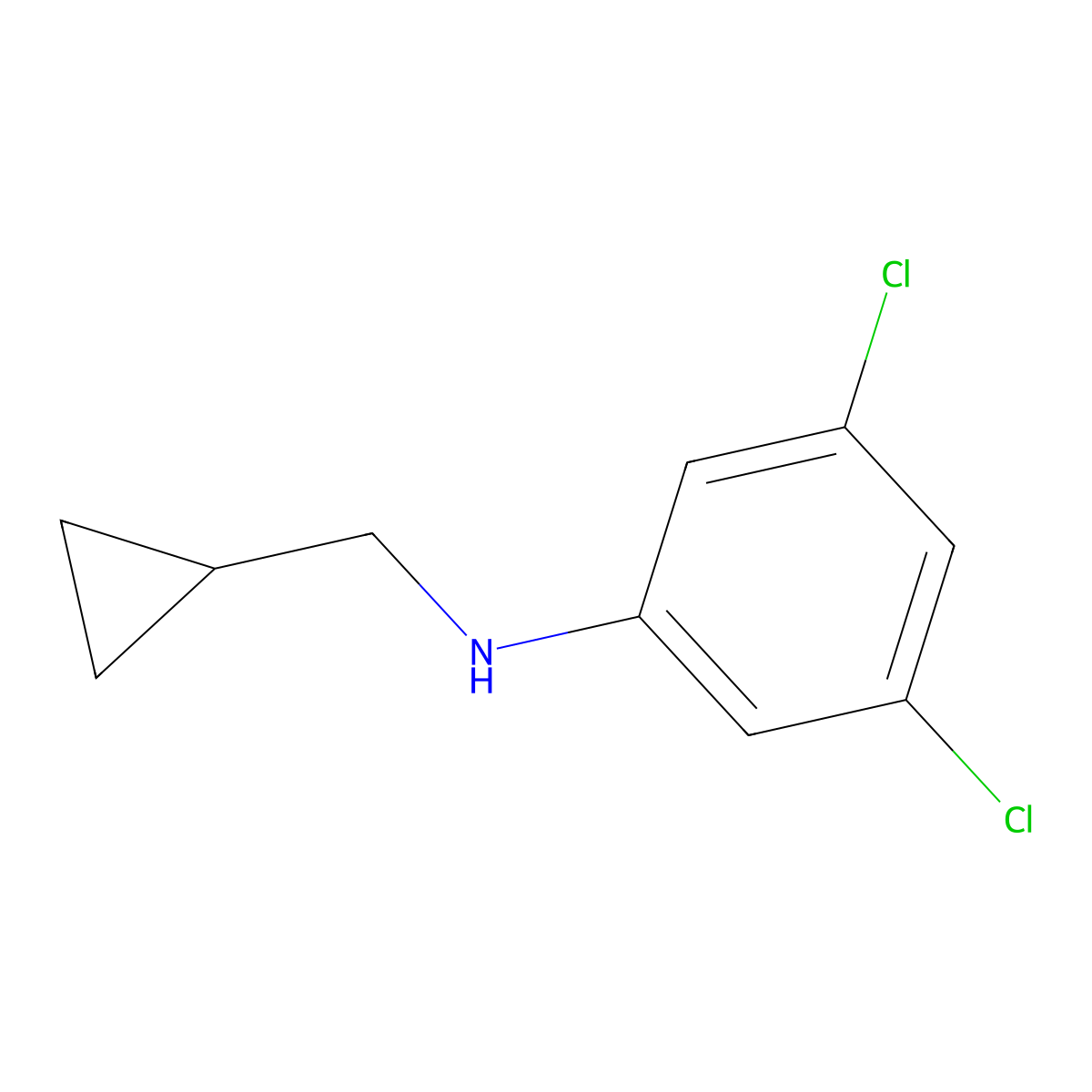 3,5-dichloro-N-(cyclopropylmethyl)aniline molecular structure, CAS 356539-48-5
