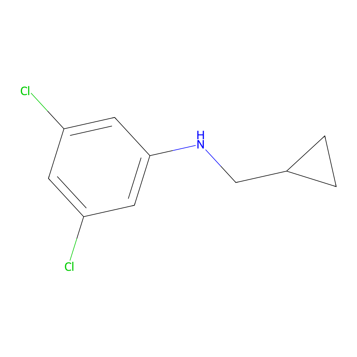 3,5-dichloro-N-(cyclopropylmethyl)aniline molecular structure, CAS 356539-48-5