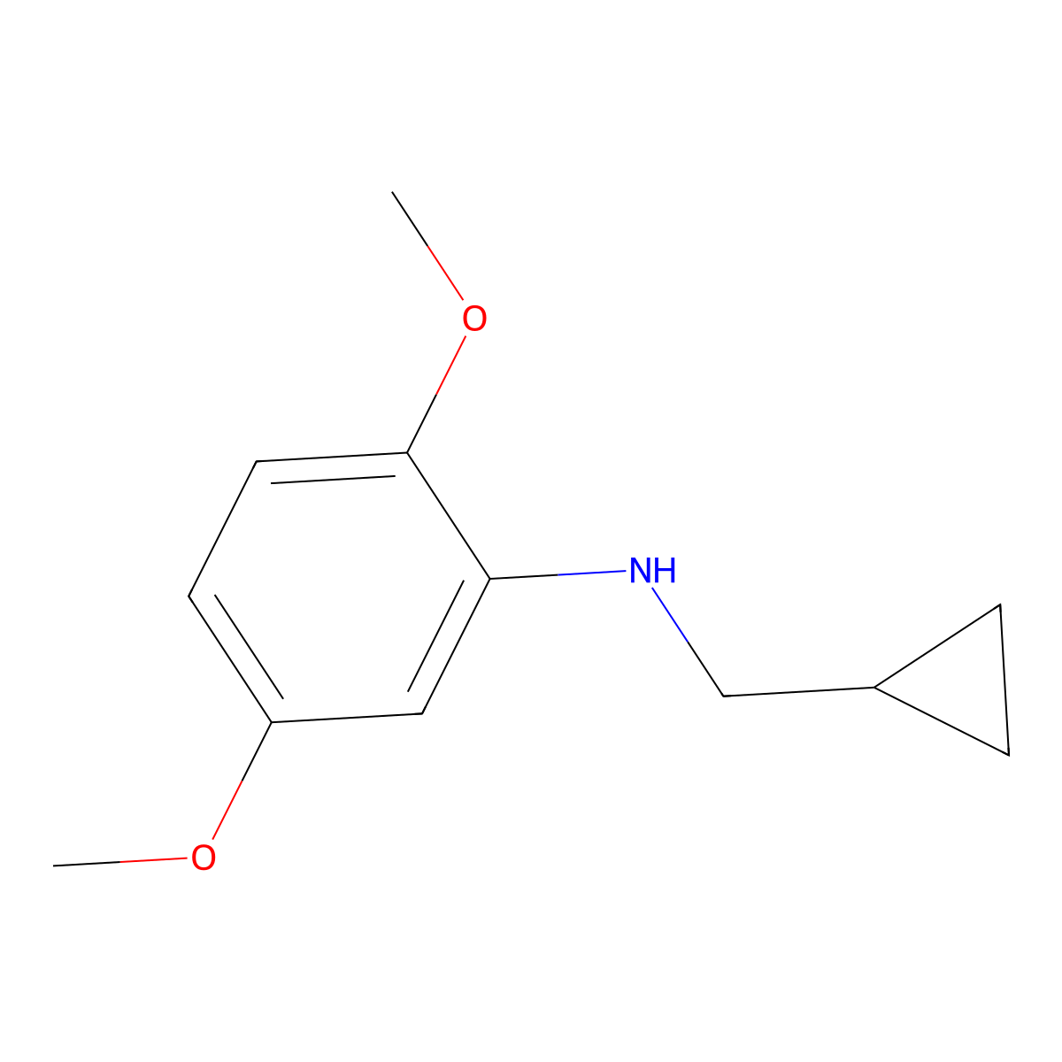 N-(cyclopropylmethyl)-2,5-dimethoxyaniline molecular structure, CAS 356539-52-1