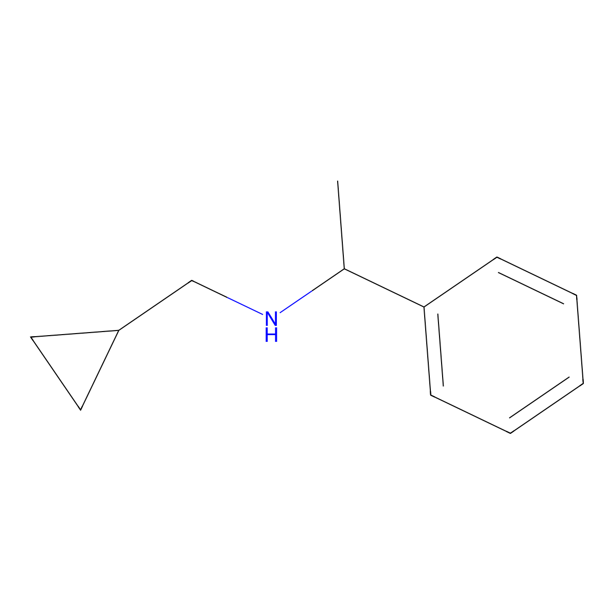 (Cyclopropylmethyl)(1-phenylethyl)amine molecular structure, CAS 356539-54-3