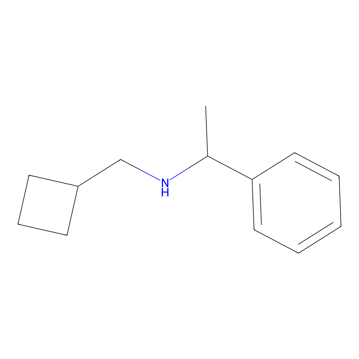 (Cyclobutylmethyl)(1-phenylethyl)amine molecular structure, CAS 356539-85-0