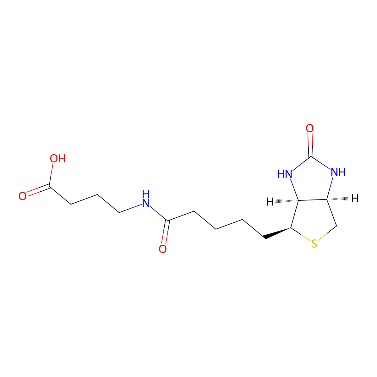 4-(5-((3aS,4S,6aR)-2-Oxohexahydro-1H-thieno[3,4-d]imidazol-4-yl)pentanamido)butanoic acid molecular structure, CAS 35924-87-9