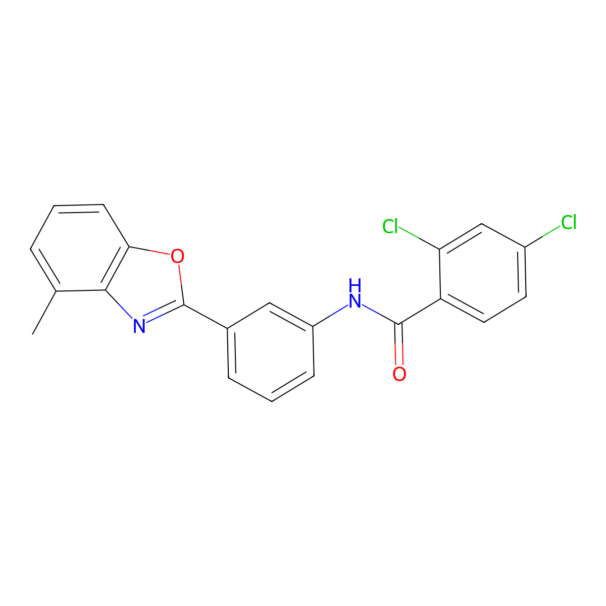 2,4-dichloro-N-[3-(4-methyl-1,3-benzoxazol-2-yl)phenyl]benzamide molecular structure, CAS 362592-68-5