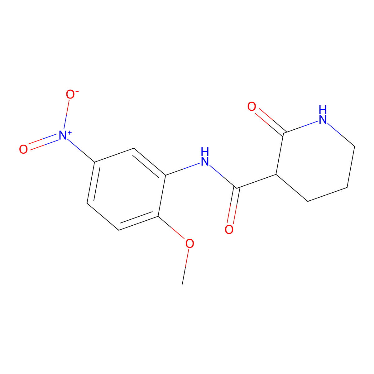 N-(2-methoxy-5-nitrophenyl)-2-oxopiperidine-3-carboxamide molecular structure, CAS 363591-09-7